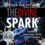 The Divine Spark